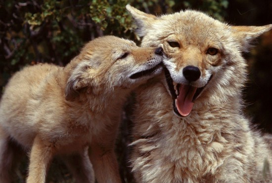 给大家分享一个真实的故事, 充满亲情, 感人肺腑