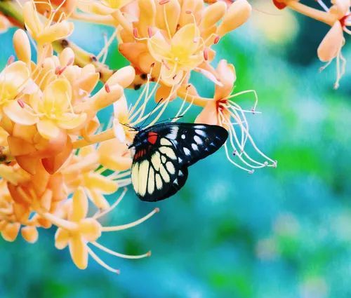 广州这9个适合学生党穷游的地方,既便宜又好玩