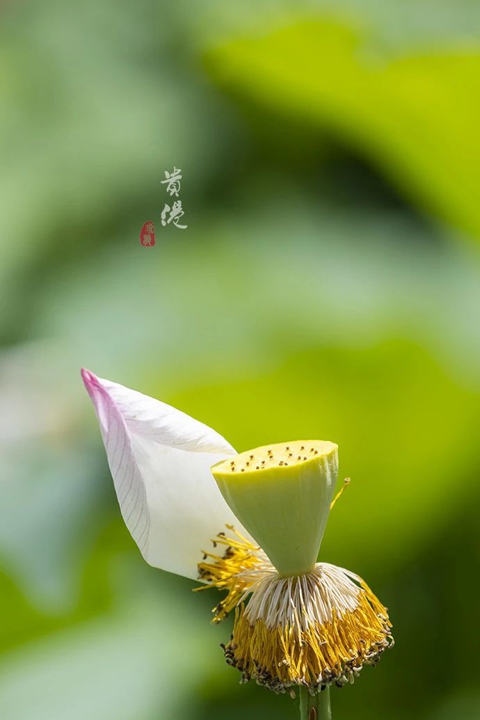 究竟要花多少钱才能拥有魔兽世界服务器? (究竟要花多少钱才可以当女兵?)-虎跃云资讯网