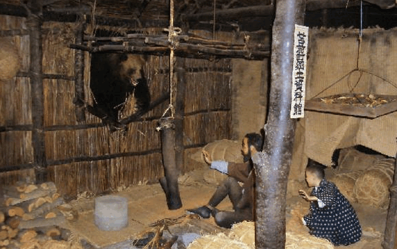 日本历史上恐怖的三毛别惨案, 爱吃女人的棕熊