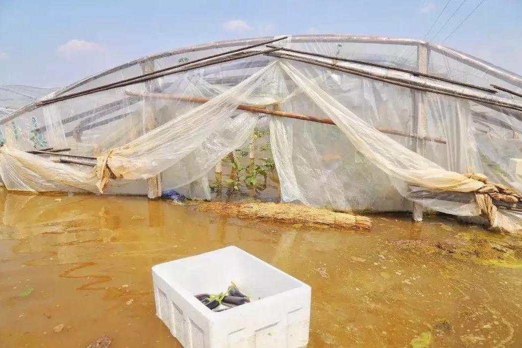 情系潍坊抗灾救灾爱心募捐行动倡议书