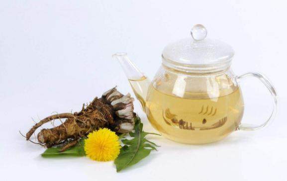蒲公英泡水的功效多,坚持喝蒲公英茶对身体好
