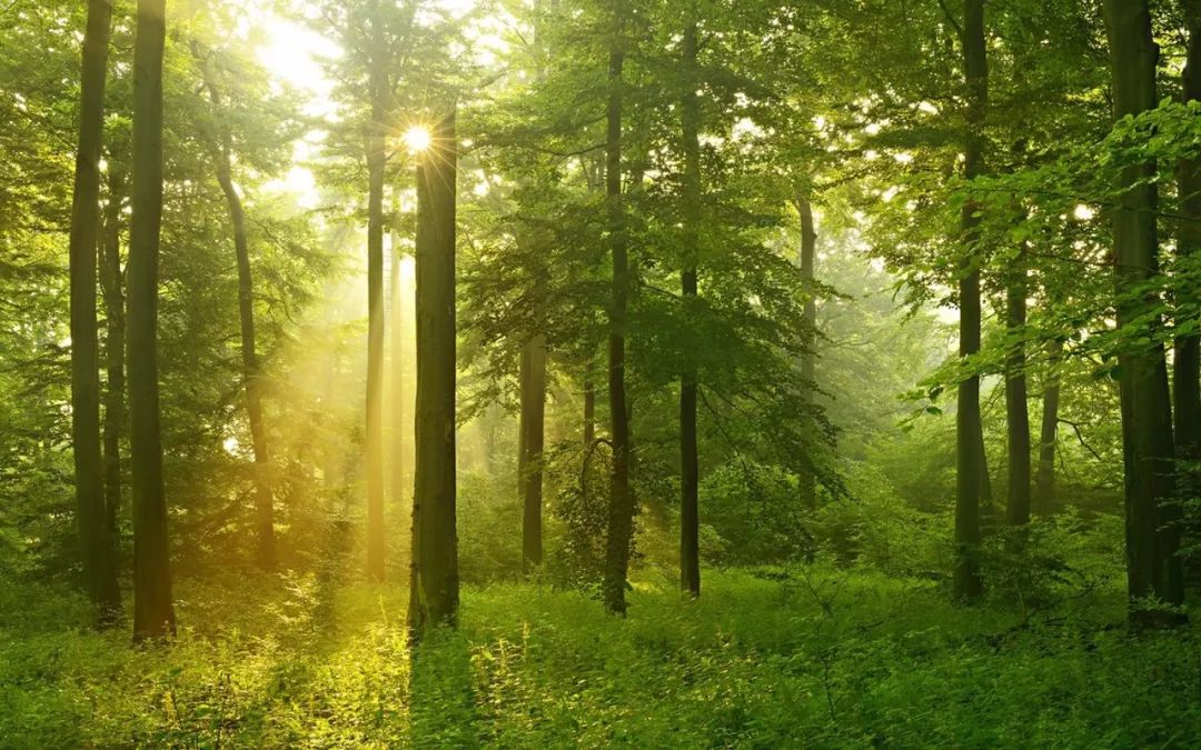 QQ空间背景音乐添加 网站背景音乐添加方法