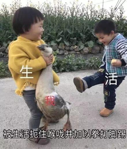 看完这篇,你就知道为什么“懂车”的汽车小编们很少买BBA了