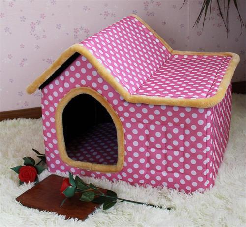 养宠小趣闻:3个月小柴犬夏天一直流鼻涕,柴犬