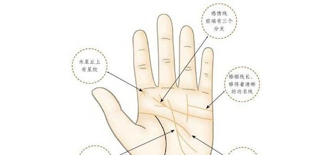 有这几种手相的女人，天生富贵好命