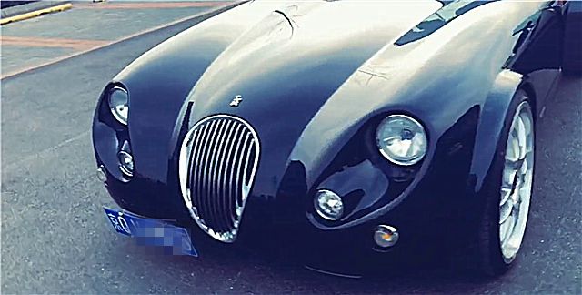 北京偶遇一辆310万威兹曼跑车,车标是“蜥蜴”,尾灯有8个!