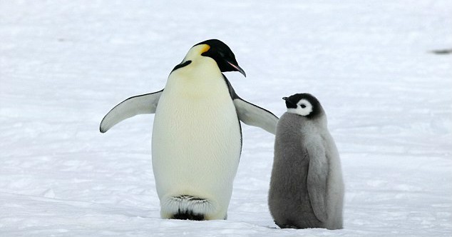 给大家分享一个真实的故事, 充满亲情, 感人肺腑