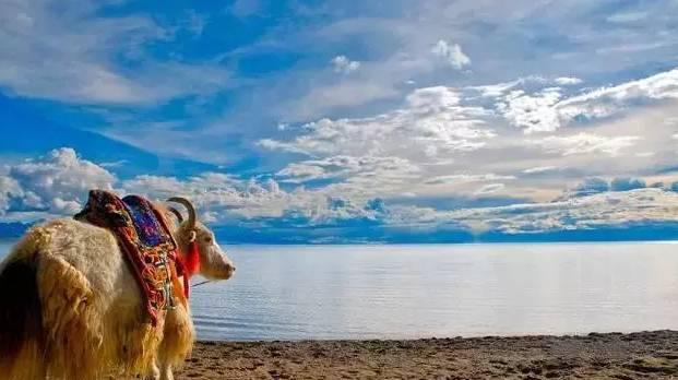 五一长假去哪里玩?细说秘境西藏不得不去的几