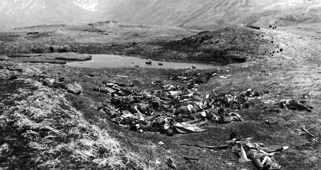 关于第二次世界大战的资料