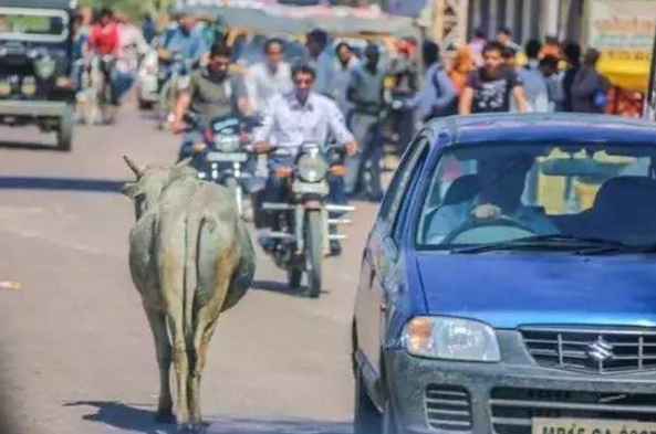 别说有些汽车配置无用  同样价位当然“有”比“无”更舒服