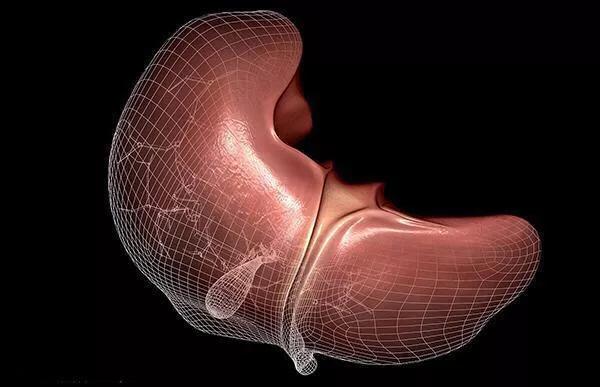 切掉一个肾对健康有什么影响吗?原来这么多年