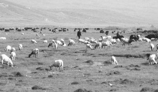 100年前的阿根廷:国家富得流油,一只脚迈进发