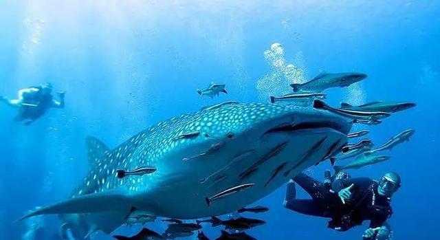 泰国签证需要什么材料?