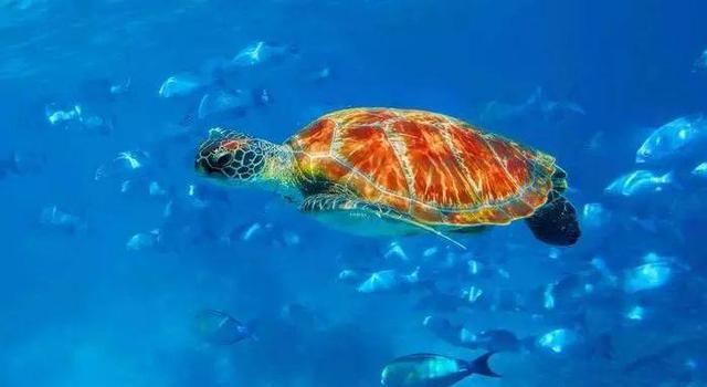 泰国签证需要什么材料?