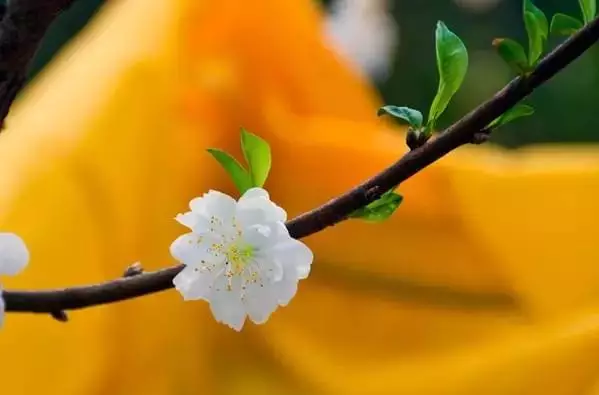 2018城市划分:泉州,二线城市,排名上升了!这方