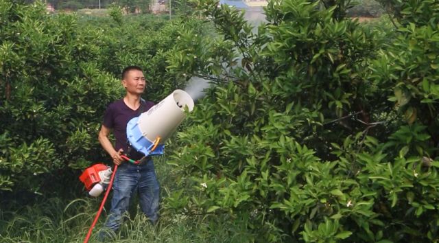 长期大型电视纪录活动 《问耕》一四川眉山行