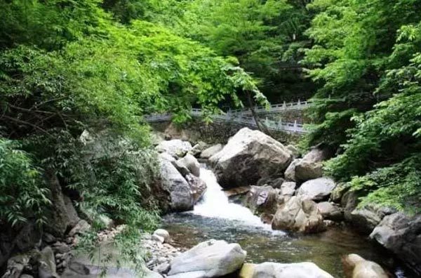 国家林业和草原局:景区资源开发是一盘棋