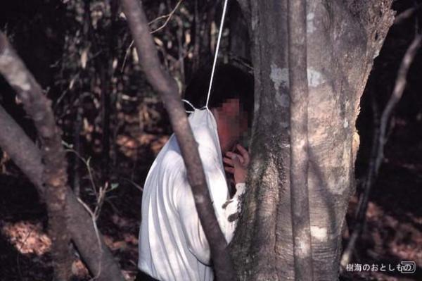 日本富士山下暗藏一片恐怖的死亡森林,每年近百人吊死其中