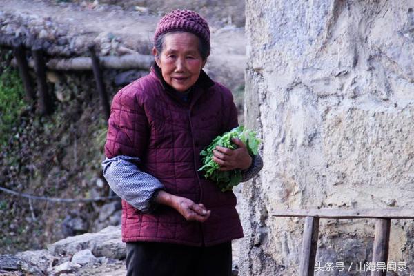 死蛇绕脖孩子被惊吓,高知父母没办法,农村奶奶