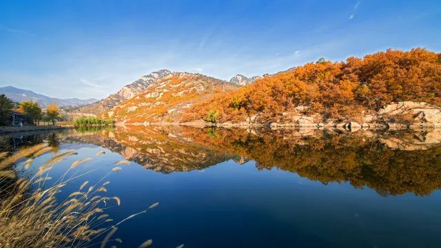 2018诗画香山 四季旅游摄影大赛征稿启事