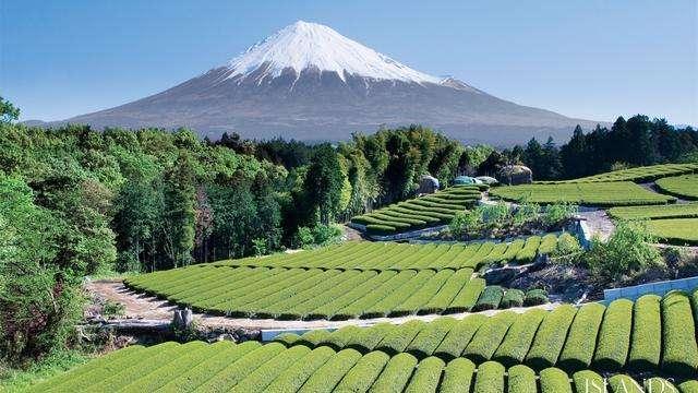 日本的富士山不是属于政府的,是个人所有,你知