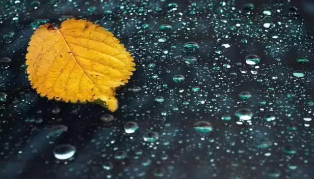 阿克苏一对男女自爆双11将彻夜不归，朋友听完都无语了！