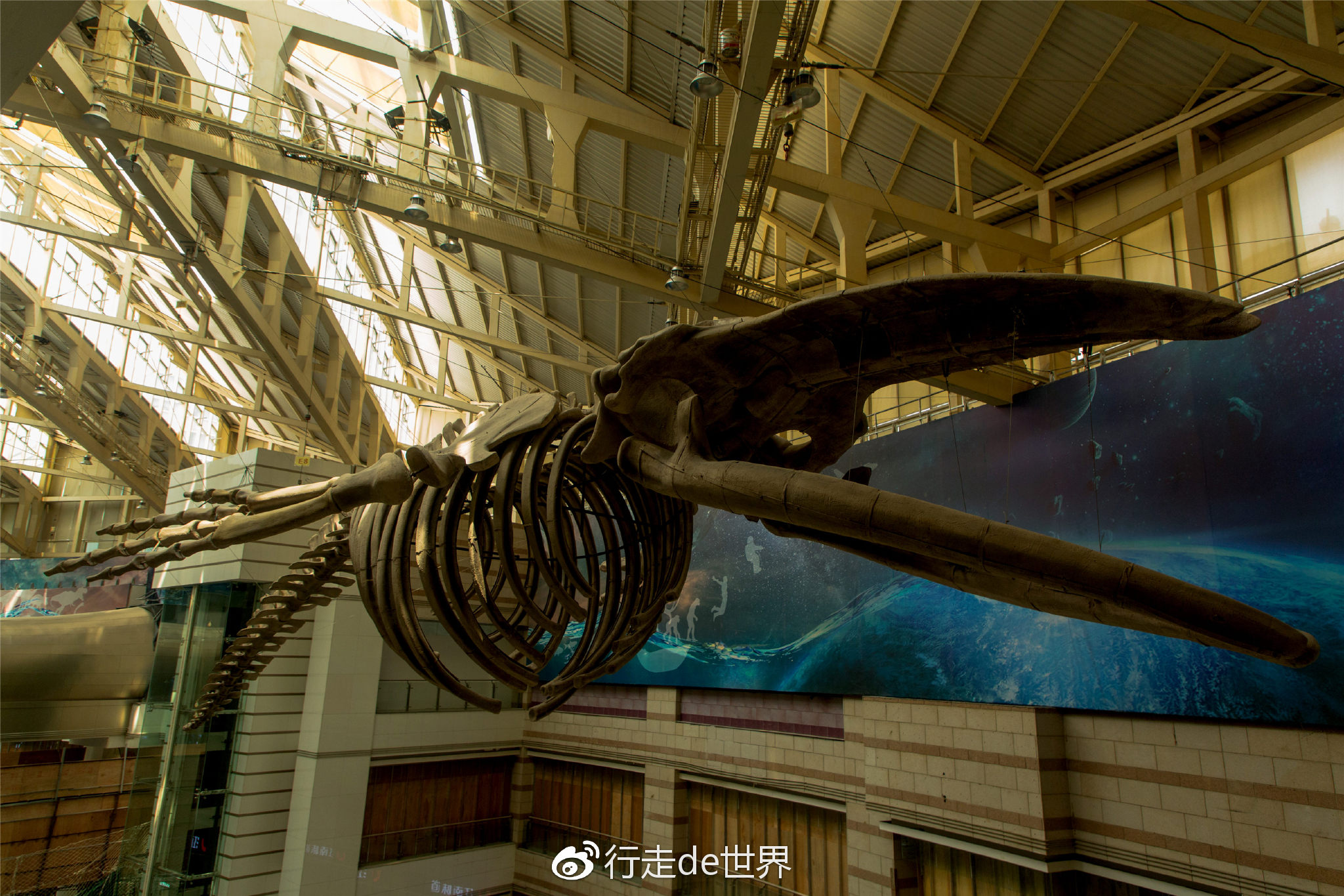 和我一起去正佳自然科学博物馆探究世界的奥秘