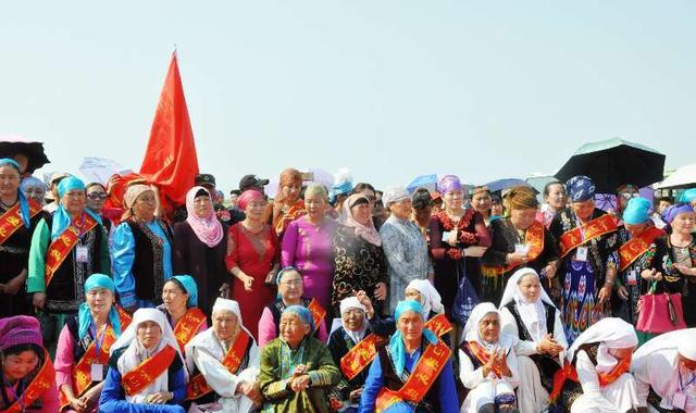 历时10年,耗资亿元,阿勒泰戈宝麻3万亩荒漠玫