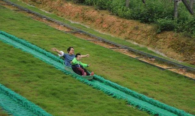 划船、滑草、看孔雀……来济源坡头嗨翻周末