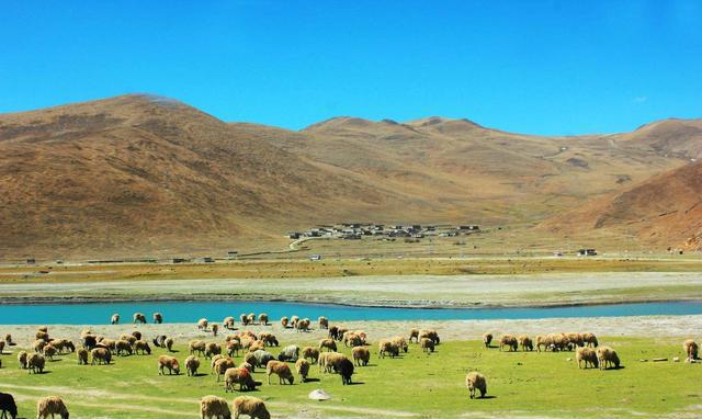 五一长假去哪里玩?细说秘境西藏不得不去的几