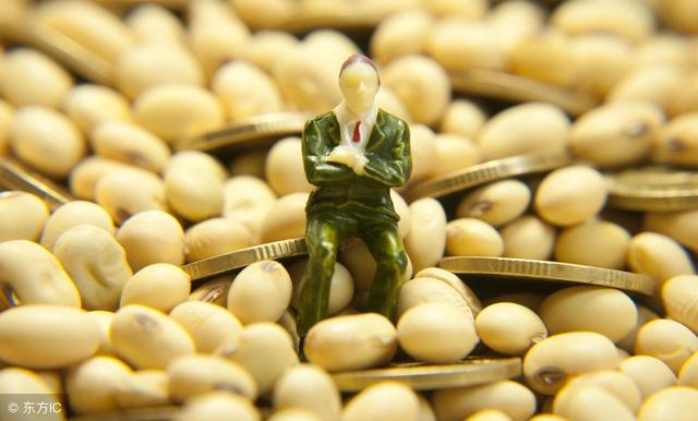 俄罗斯大豆进口价格多少钱一吨?它有希望取代