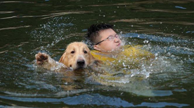 主人落水,金毛做出这种举动,让人感动,不愧是人