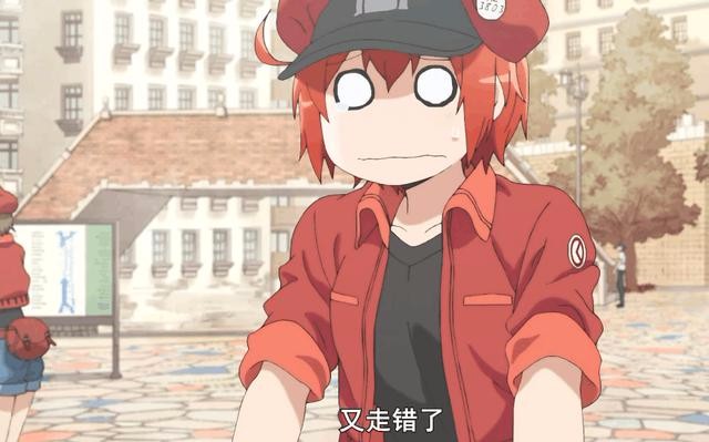 《工作细胞》:看动漫,学生物!