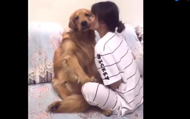 女主人把狗狗摁在沙发上做这事,狗狗反应有趣了!