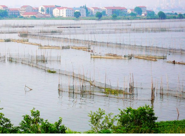 中国第一大城中湖,总面积约48平方公里,超过武