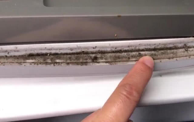 冰箱封条发霉了怎么办?教你一个小妙招,轻松去
