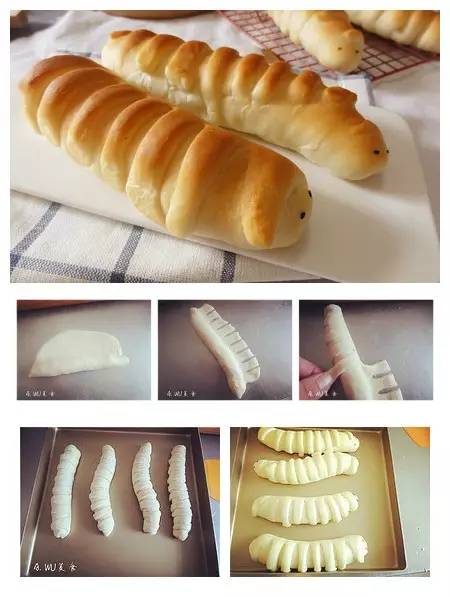 烘焙圈子：海量面包的花樣造型做法～～花一樣的面包，太給力了！