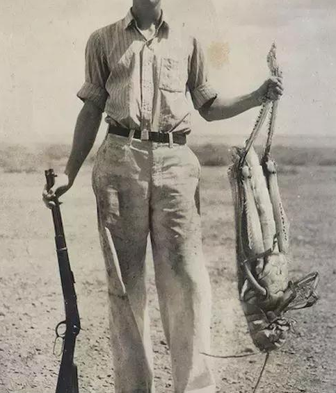拍摄于1937年的"巨型蝗虫".