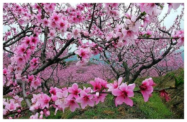 中国升级最快的城市,旅游年收入达43亿