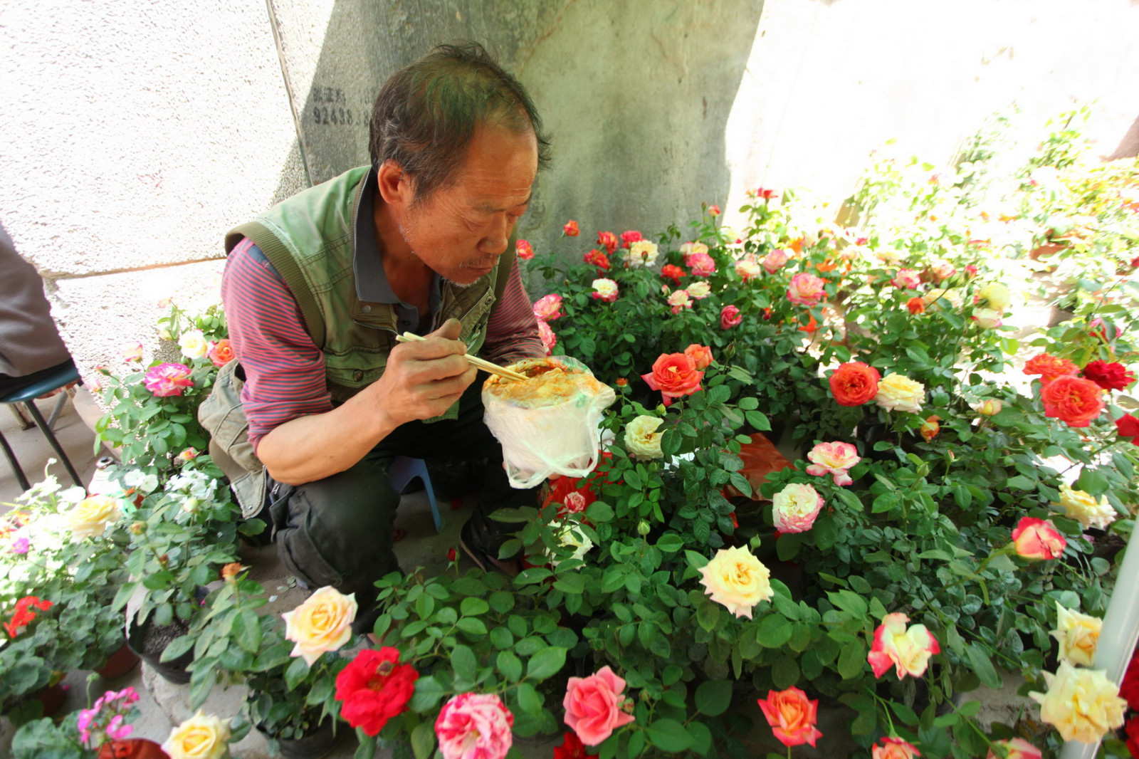 西安六旬老汉集市摆摊只卖一种花日入三百多