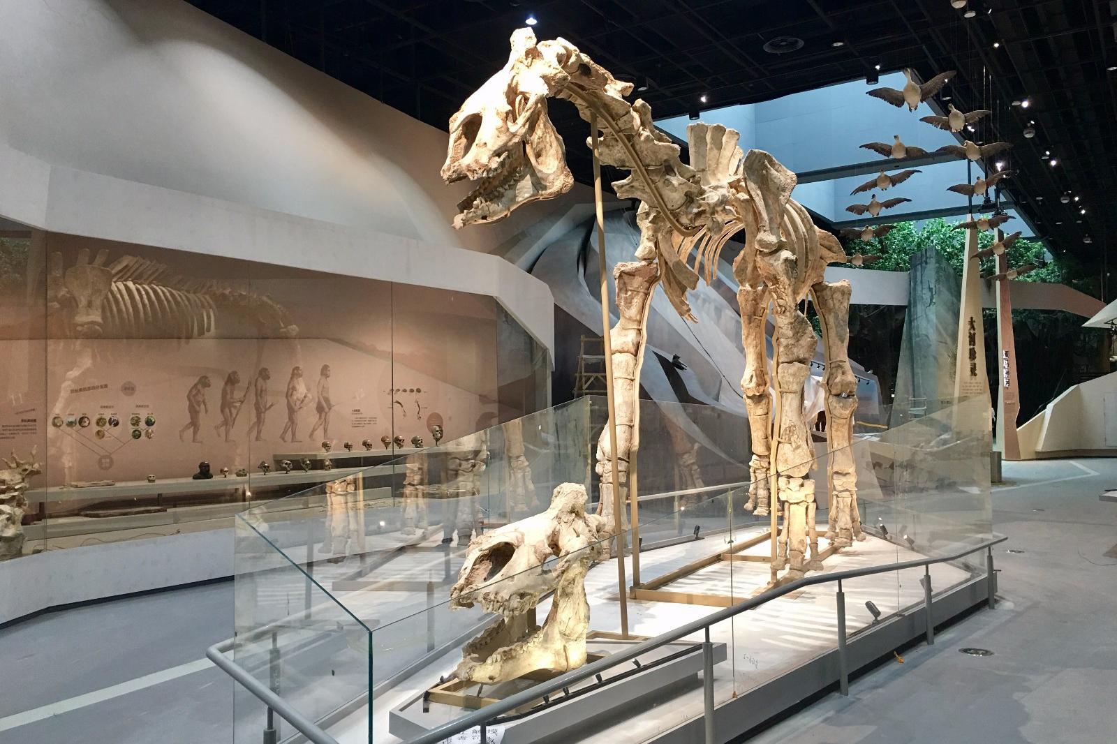 武汉自然博物馆&贝林大河生命馆--贝林礼品_新浪看点