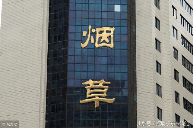 宁波市烟草公司_烟草公司员工收入