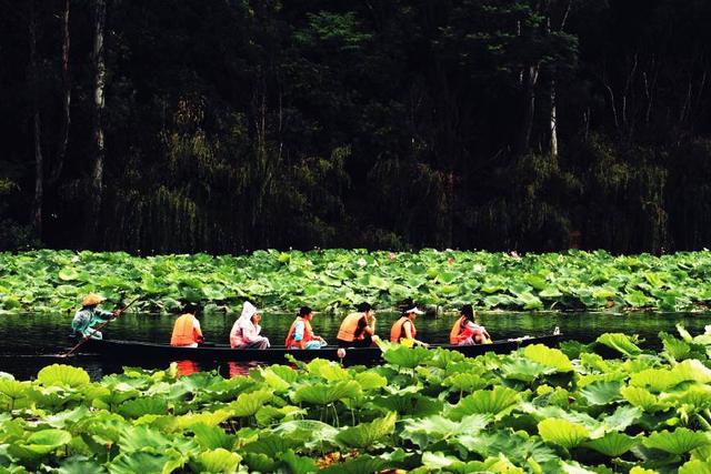 夏天去哪旅游, 去这3个好地方, 美不胜收还很舒适