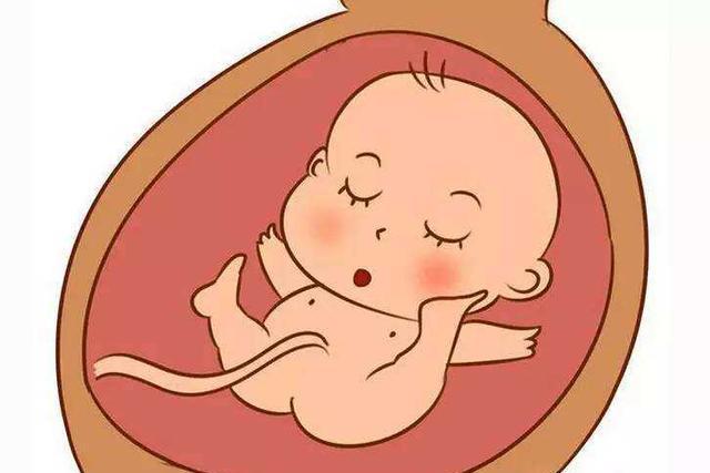 胎宝宝在妈妈肚子里就学会了的8件事,第三个让孕妈哭笑不得