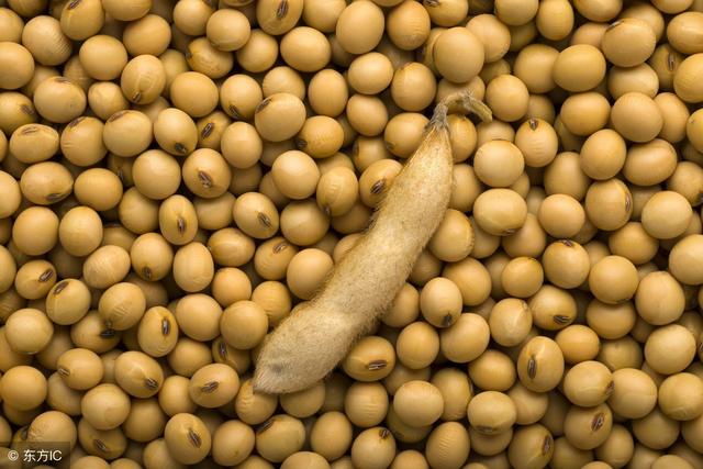 下半年大豆价格还会涨吗?2018年黄豆行情预测