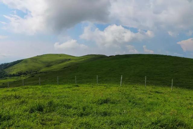 在东山草原 感受一段放牧时光：这是腾冲离天空最近的地方