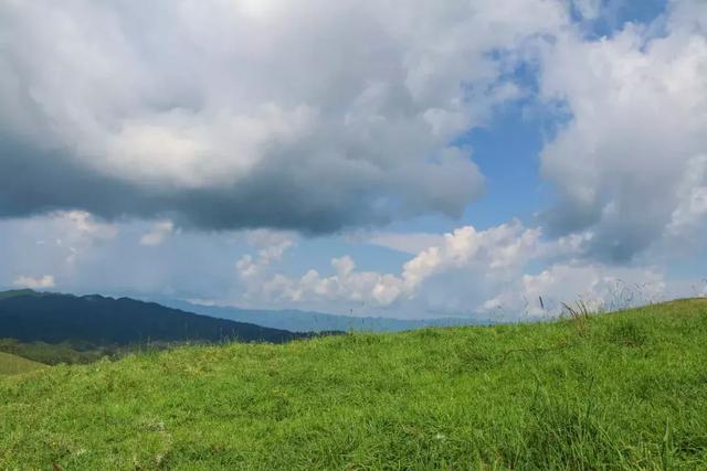 在东山草原 感受一段放牧时光：这是腾冲离天空最近的地方