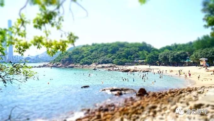 道滘南丫广场小巷子：烟火与时光交织的市井长卷