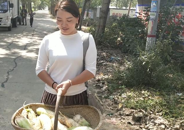 农村大姐种的萝卜一亩地产量几千斤能挣多少钱